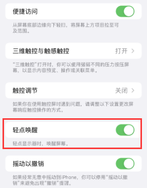 菏泽苹果授权维修站分享iPhone轻点无法唤醒怎么办