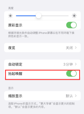 菏泽苹果授权维修站分享iPhone轻点无法唤醒怎么办