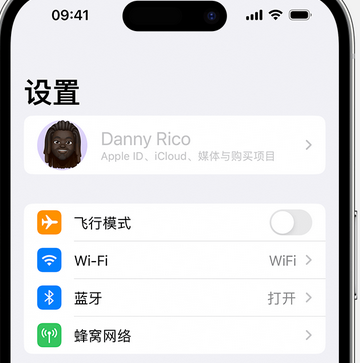 菏泽appleID维修服务iPhone设置中Apple ID显示为灰色无法使用 