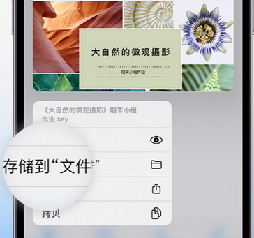 菏泽apple维修中心分享iPhone文件应用中存储和找到下载文件