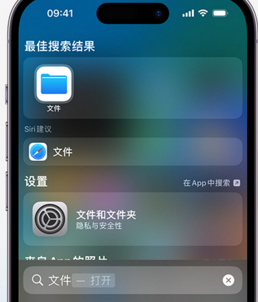 菏泽apple维修中心分享iPhone文件应用中存储和找到下载文件