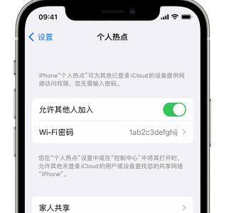 菏泽apple服务站点分享iPhone上个人热点丢失了怎么办 