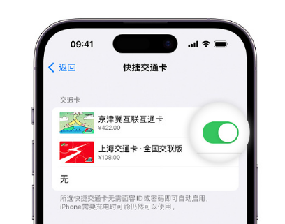 菏泽apple维修点分享iPhone上更换Apple Pay快捷交通卡手绘卡面 