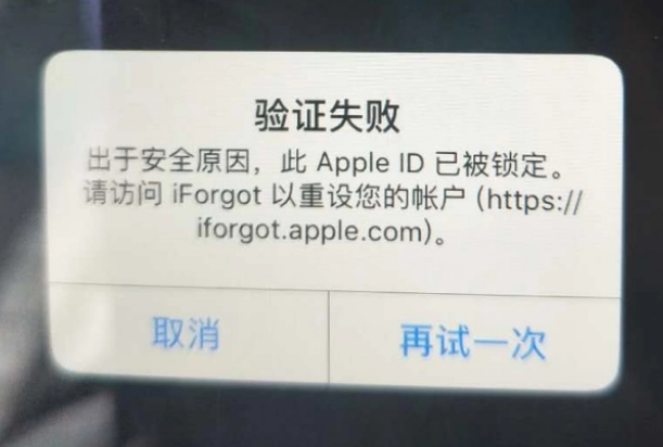 菏泽iPhone维修分享iPhone上正常登录或使用AppleID怎么办 