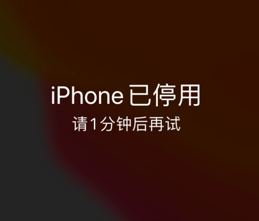 菏泽苹果手机维修分享:iPhone 显示“不可用”或“已停用”怎么办？还能保留数据吗？ 