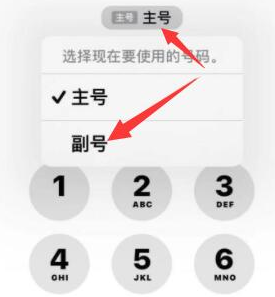 菏泽苹果14维修店分享iPhone 14 Pro Max使用副卡打电话的方法 