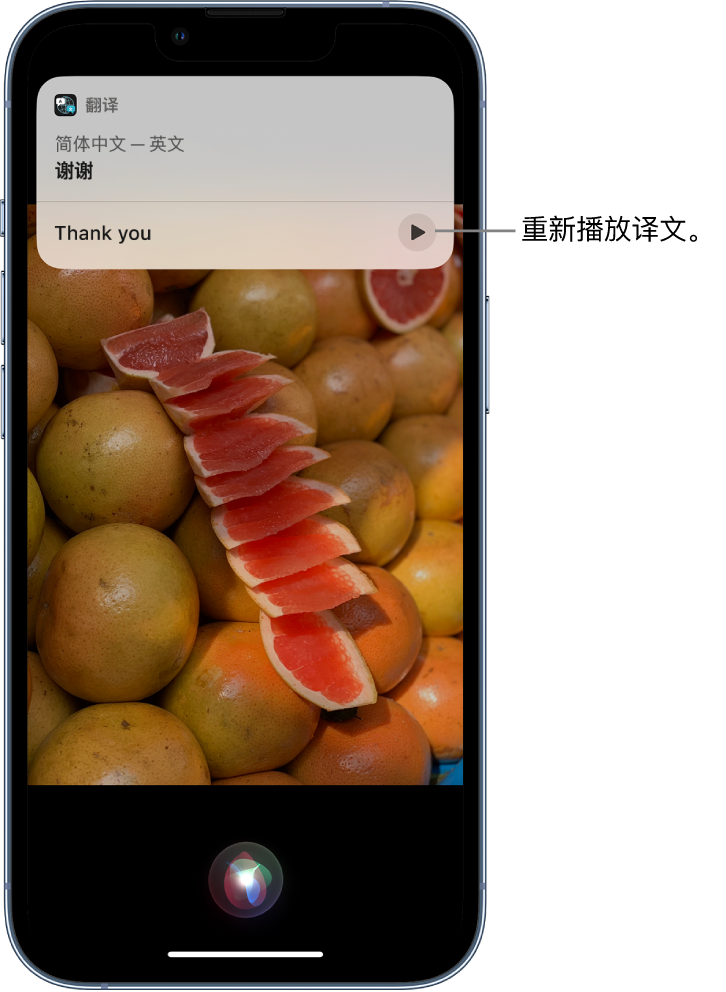 菏泽苹果14维修分享 iPhone 14 机型中使用 Siri：了解 Siri 能帮你做什么 