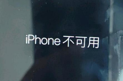 菏泽苹果服务网点分享锁屏界面显示“iPhone 不可用”如何解决 