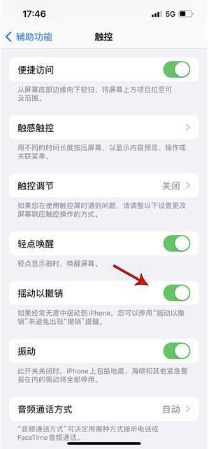 菏泽苹果手机维修分享iPhone手机如何设置摇一摇删除文字 