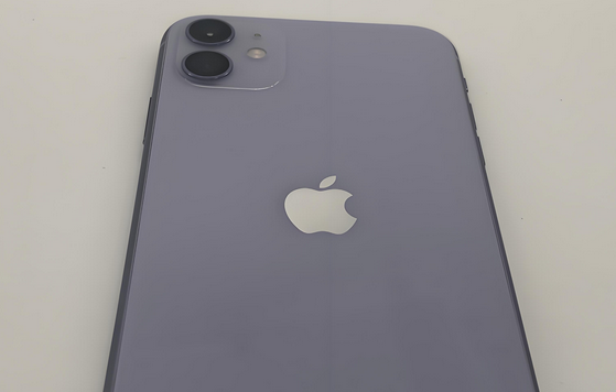 菏泽苹果11系统维修分享iPhone11手机系统崩溃无法开机如何解决