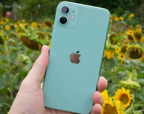 菏泽苹果维修点分享iPhone 11锁屏密码认知与使用科普 